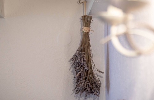Banjol Apartamento | Vintage apartment 1 with balcoony and garden near the sea