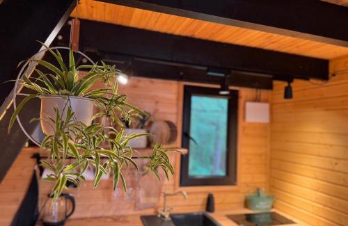 Tsqaltubo Chalet De Esquí | Vintage Cabin