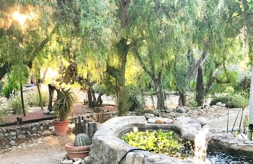 Ventura County Cabaña | Cabaña rústica en árbol lleno de cañón privado