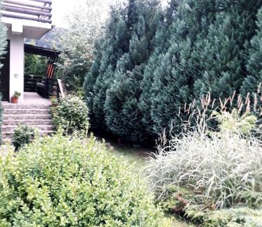 Busteni Villa | Vintage House Busteni