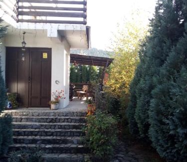 Busteni Villa | Vintage House Busteni