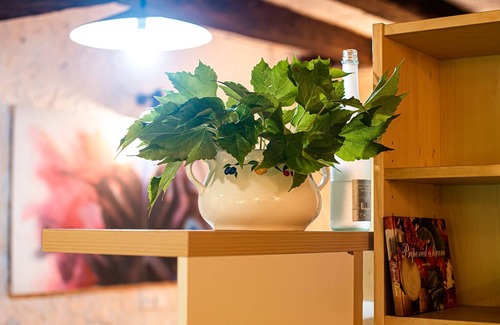 Kostel Apartamento | Vintage House Podliparska - Studio