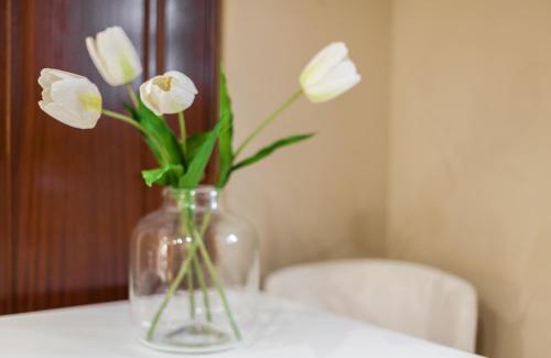 Misericordia Apartamento | Vintage House Santa Catarina
