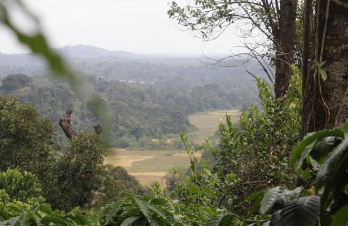 Madikeri Casa | vintage Pearl Estate Stay