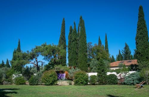 Arles Casa | Vintage Provence