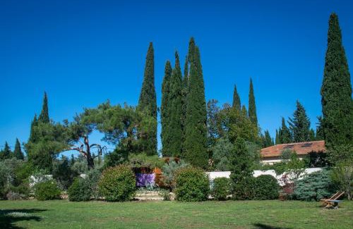 Arles Casa | Vintage Provence
