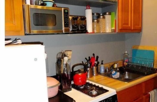 Bedford-Stuyvesant Apartamento | Vintage Vibes: Cozy Brooklyn Haven in Clinton Hill