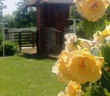 Central Serbia Apartamento | Vintage Village Serbia