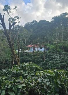Virarajendrapet Casa | Vintara Homestay