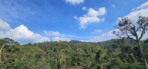 Virarajendrapet Casa | Vintara Homestay