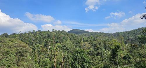 Virarajendrapet Casa | Vintara Homestay