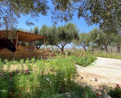 Qazim Pali Complejo | Violet Village