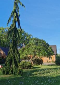 Strzelinko Casa | Violin house