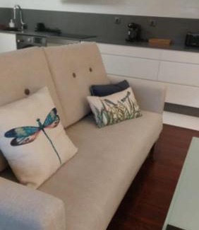 O Milladoiro Apartamento | Viorneira