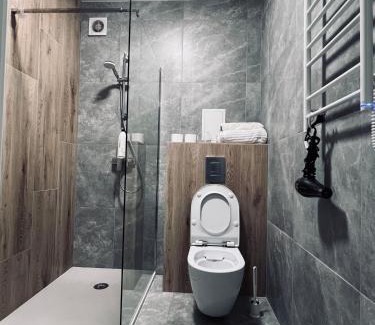 Kosuv Stary Apartamento | VIP Квартира в центрі м. Івано-Франківськ