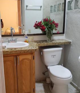 Barra de Navidad Otro | VIP Trailer Park and Bungalows.