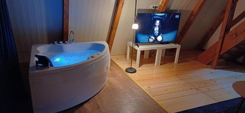 Jagodina Casa | Vip Villa Jagodina - Jakuzzi is free - Private parking is free - Beautiful view of nature
