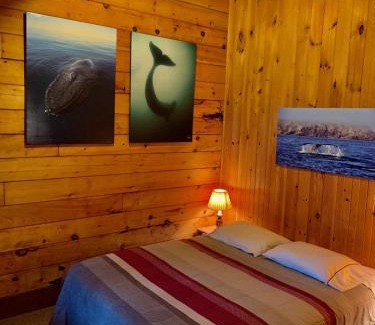 Janvrin Harbour Cabina | Vipilodge