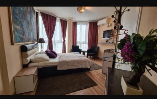 Dorcol Apartamento | Visoki Stevan Apartments