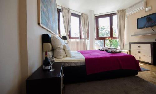 Dorcol Apartamento | Visoki Stevan Apartments