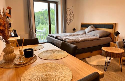 Rokytnice nad Jizerou Apartamento | Vista 14
