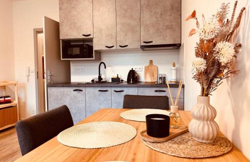 Rokytnice nad Jizerou Apartamento | Vista 14