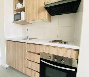 Las Rejas Apartamento | Vista Cordillera Studio