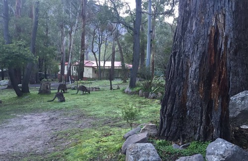 Halls Gap Cabaña | Brecha serena de los pasillos de Vista