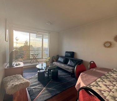 Concepcion Apartamento | Vista Laguna Redonda