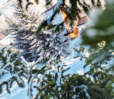Lisina Chalet De Esquí | Vista Mountain House