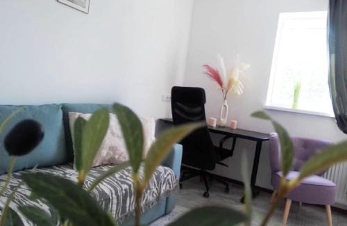 gmina Debe Wielkie Apartamento | Vista premium apart
