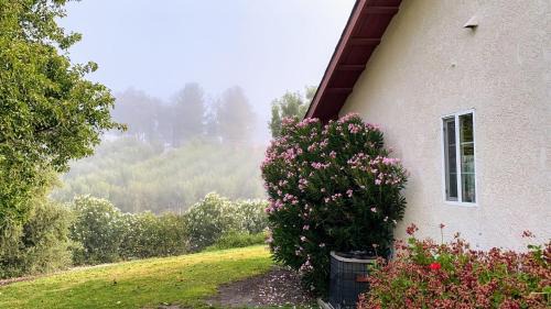 San Miguel Casa | Vista Vine Cottage