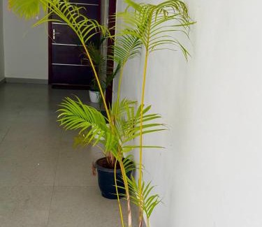 Nagampadam Apartamento | VistaLux