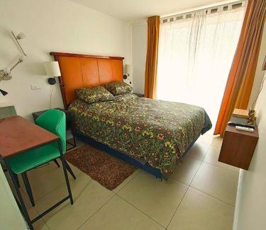 Bellavista Apartamento | Vistas de Providencia