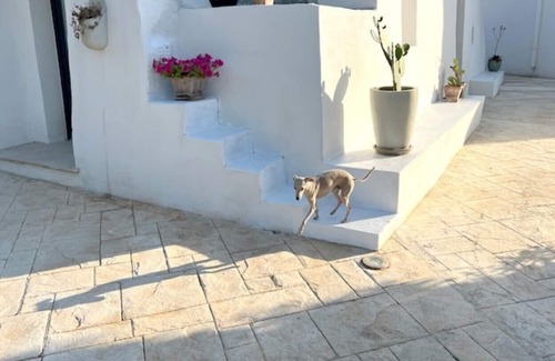 Francavilla Fontana Cabaña | LIFE LIVES TRULLO
