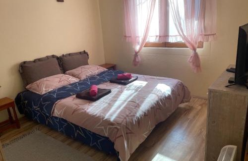 Central Serbia Casa | Vitez Koja