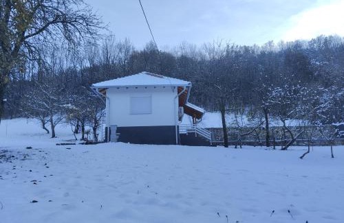 Central Serbia Villa | Vitovnicki Mir