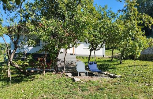 Central Serbia Villa | Vitovnicki Mir