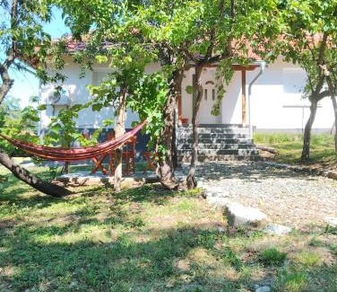 Central Serbia Villa | Vitovnicki Mir