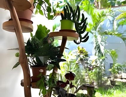 La Banda de Shilcayo Apartamento | Vive a 5min del centro 3HAB con A/C Cochera Jardín