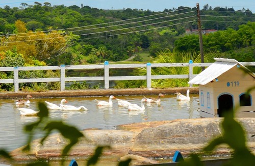 Moreno Hotel | Viver Mais Hotel Fazenda