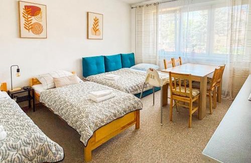 Liptovsky Mikulas Apartamento | ViVi Apartments