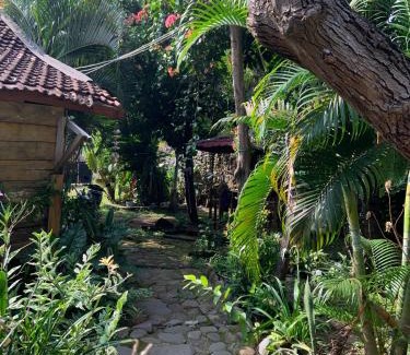 Hu'u Casa | Vivian's Lakey peak homestay