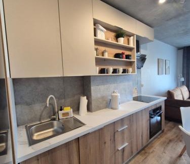 Lodz Apartamento | VizzitUs Premium Apartament Łódź Manufaktura