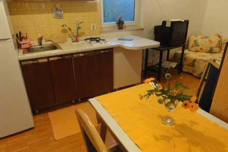 Miholascica Apartamento | Vlado