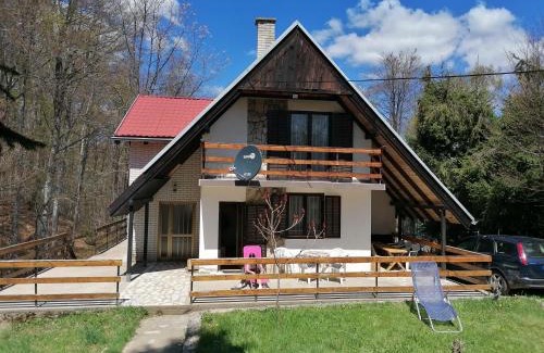 Central Serbia Casa | Vlasinsko jezero vila BiLiV