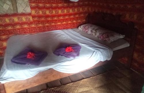 Tanna Island Cama Y Desayuno | Volcano island paradise