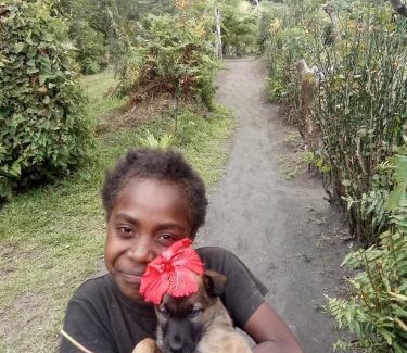 Tanna Island Cama Y Desayuno | Volcano island paradise