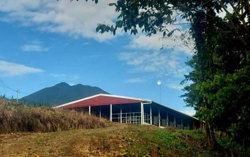 San Rafael de Guatuso Otro | Volcano Tenorio Glamping Ranch - 3 Tents