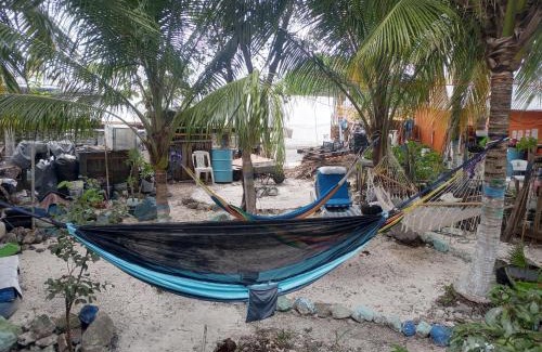 Colonia Independencia Otro | VOLUNTARY & Camping